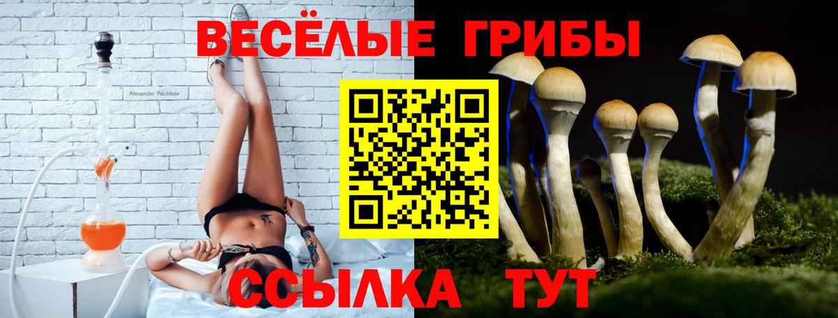 Галлюциногенные грибы ЛСД  Псилоцибиновые грибы ЛСД  продажа наркотиков  Вход с VPN  Кимовск 